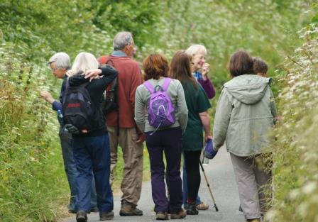 recording group walk near Bude by Niki Clear