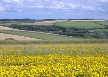 Farmland vista by Tamara Weeks Icon